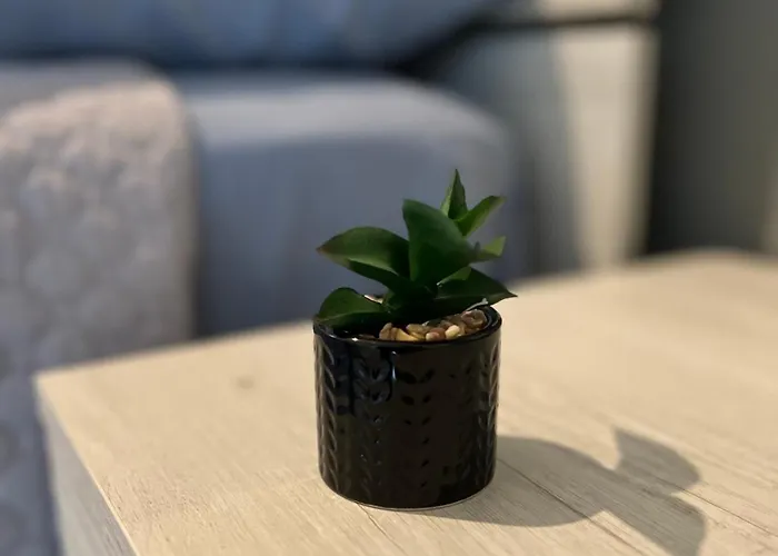 Il Buon Risveglio B&B